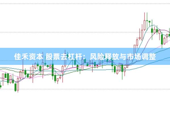 佳禾资本 股票去杠杆：风险释放与市场调整