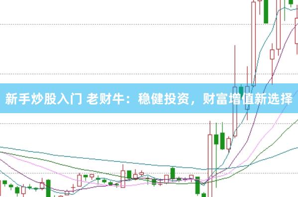 新手炒股入门 老财牛：稳健投资，财富增值新选择
