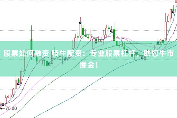 股票如何融资 骑牛配资：专业股票杠杆，助您牛市掘金！