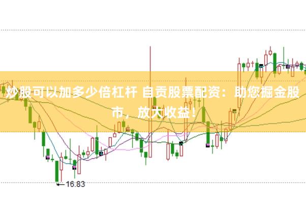 炒股可以加多少倍杠杆 自贡股票配资：助您掘金股市，放大收益！