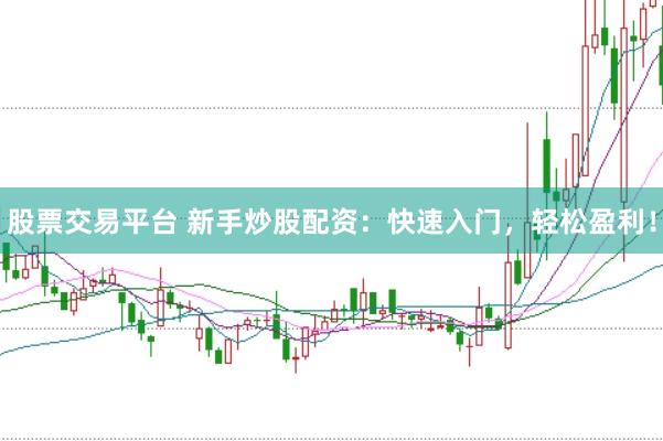 股票交易平台 新手炒股配资：快速入门，轻松盈利！