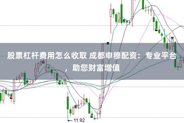 股票杠杆费用怎么收取 成都申穆配资：专业平台，助您财富增值