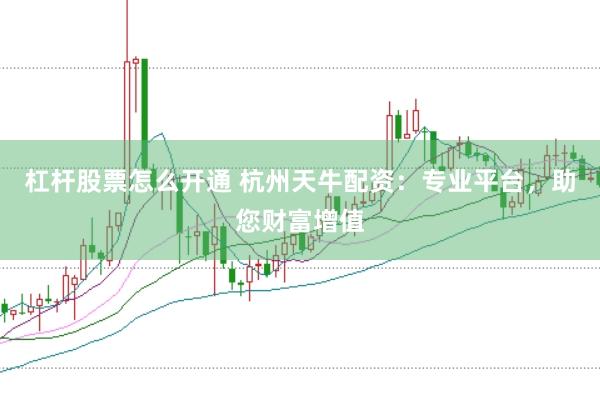 杠杆股票怎么开通 杭州天牛配资：专业平台，助您财富增值