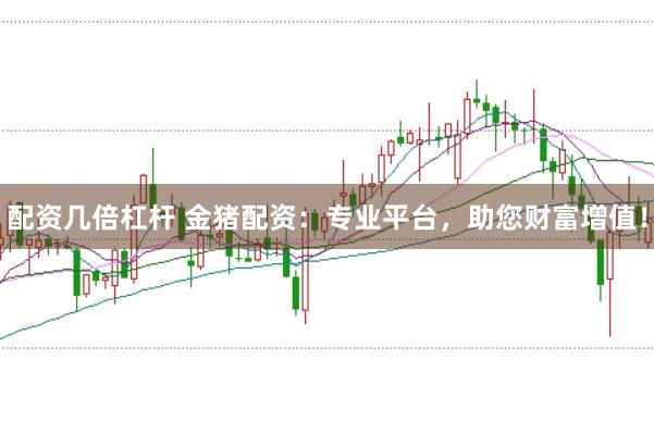 配资几倍杠杆 金猪配资：专业平台，助您财富增值！