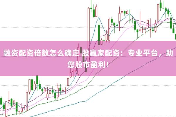 融资配资倍数怎么确定 股赢家配资：专业平台，助您股市盈利！