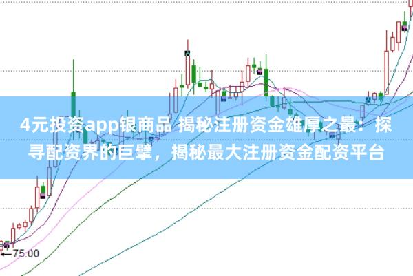 4元投资app银商品 揭秘注册资金雄厚之最：探寻配资界的巨擘，揭秘最大注册资金配资平台