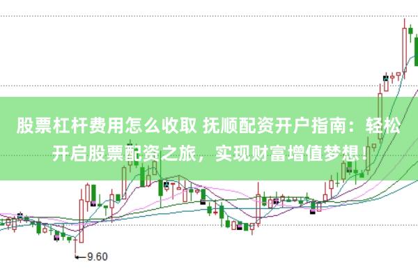 股票杠杆费用怎么收取 抚顺配资开户指南：轻松开启股票配资之旅，实现财富增值梦想！