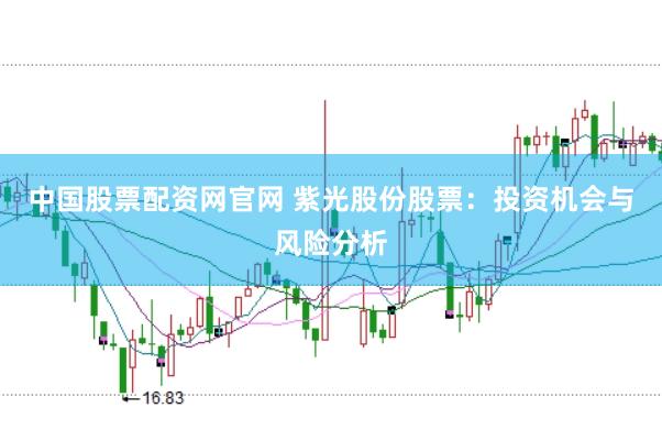 中国股票配资网官网 紫光股份股票：投资机会与风险分析