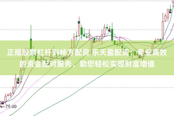 正规股票杠杆到杨方配资 乐天盈配资：专业高效的资金配对服务，助您轻松实现财富增值