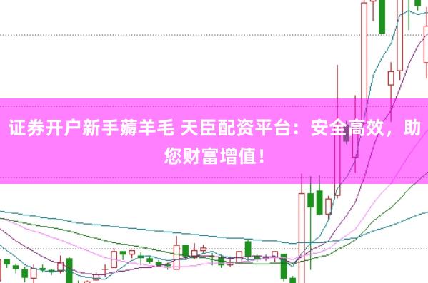 证券开户新手薅羊毛 天臣配资平台：安全高效，助您财富增值！