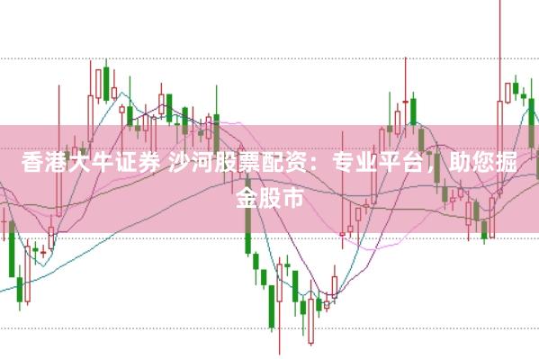 香港大牛证券 沙河股票配资：专业平台，助您掘金股市
