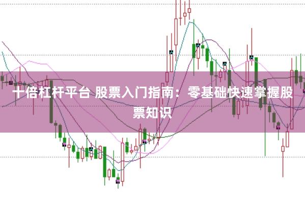 十倍杠杆平台 股票入门指南：零基础快速掌握股票知识