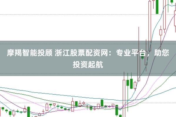 摩羯智能投顾 浙江股票配资网:专业平台,助您投资起航