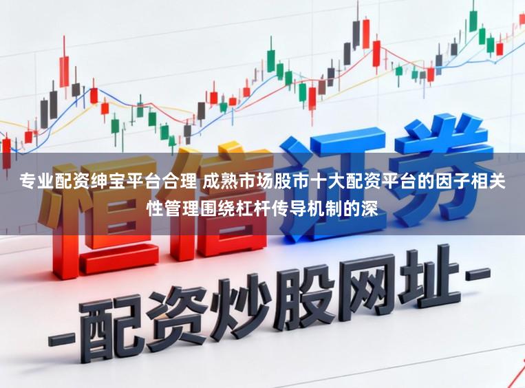 专业配资绅宝平台合理 成熟市场股市十大配资平台的因子相关性管理围绕杠杆传导机制的深