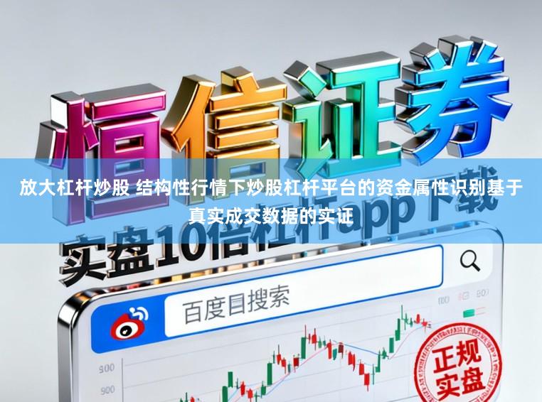 放大杠杆炒股 结构性行情下炒股杠杆平台的资金属性识别基于真实成交数据的实证