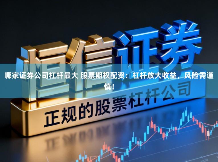 哪家证券公司杠杆最大 股票期权配资：杠杆放大收益，风险需谨慎！